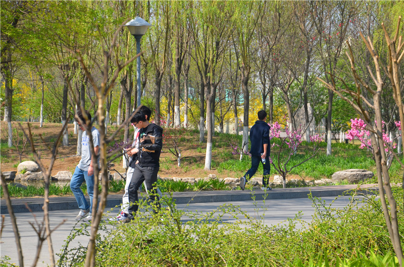 尊龙凯时人生就是博z6com(中国游)官网